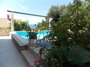 a view of a swimming pool from a garden at Guesthouse Villa Klaic in Dubrovnik