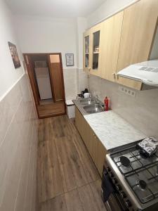 a small kitchen with a sink and a stove at Carlos Apartman Kecskemét in Kecskemét