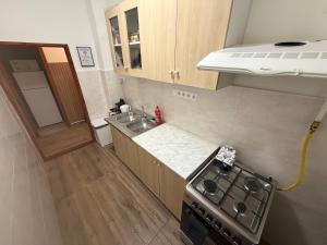 a small kitchen with a stove and a sink at Carlos Apartman Kecskemét in Kecskemét +9 photos