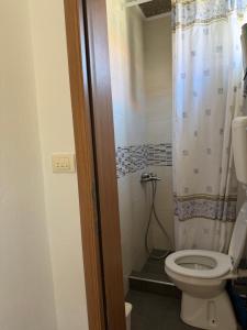 a bathroom with a toilet with a shower curtain at The Lakehouse in Krnjice +22 photos
