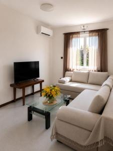 a living room with two couches and a tv at Croatia Apartman Masa in Senj