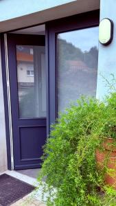 a blue door of a house with a plant at Ferienwohnung im Ellertal in Bockelnhagen
