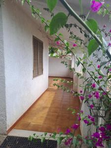 a room with a wooden floor and purple flowers at Villette Pepe in Coccorino