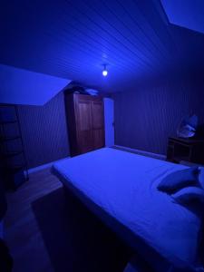 a bedroom with a bed in a blue room at Kimloge in Le Portel