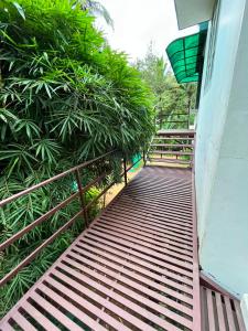a walkway leading up to a building with plants at Coffee dale in Kalpetta