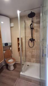 a bathroom with a toilet and a glass shower at Cozy high-altitude apartment in Font-Romeu-Odeillo-Via +8 photos