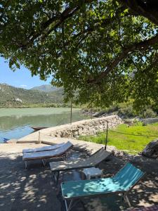 two chairs and tables under a tree next to a lake at The Lakehouse in Krnjice