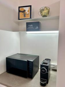 a microwave and a toaster sitting on a shelf at 'Na Scalunera in Mezzojuso