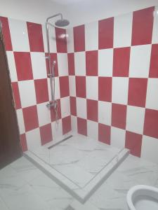 a bathroom with a shower with red and white checkered wall at Danove geocom in Făgăraş