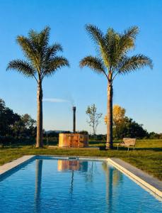 a swimming pool with two palm trees and a bench at Arequita Lodge in Minas