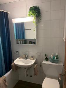 a bathroom with a toilet and a sink and a mirror at Apollo in Saas-Fee