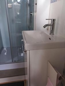 a bathroom with a sink and a shower at Chambre pour 2, avec terrasse privée in Montgivray