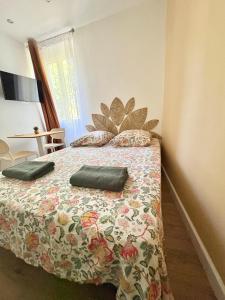 a bedroom with a bed with two pillows on it at Coudert VI l Petit Studio Climatisé Hyper Centre in Castres