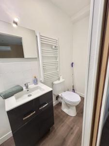 a bathroom with a toilet and a sink and a mirror at Coudert VI l Petit Studio Climatisé Hyper Centre in Castres