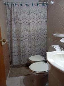 a bathroom with a toilet and a shower curtain at Olloqui Dpto in Villa Mercedes