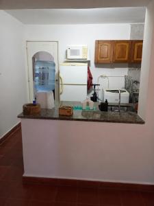 a kitchen counter with a sink and a microwave at Olloqui Dpto in Villa Mercedes