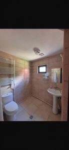 a bathroom with a toilet and a sink at Bakhmaro Eco Cottage in Chʼkhakoura