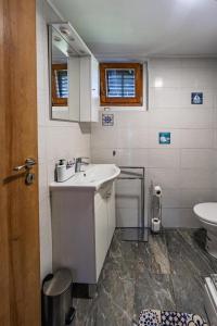 a bathroom with a sink and a toilet at Dedekov gaj in Oteš +12 photos