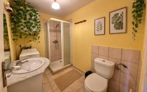 a bathroom with a toilet and a sink and a shower at 45 Méditerranée in Ortaffa