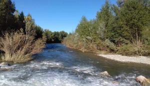 a river with rocks and trees on the side at 45 Méditerranée in Ortaffa