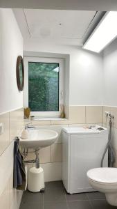 a bathroom with a sink and a toilet and a window at Wohnatelier Calw in Calw +28 photos