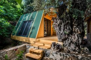 a house built out of a tree stump at Petrinos Butik Otel in Datca