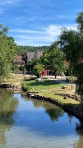 a river with a house in the background at Wohnatelier Calw in Calw