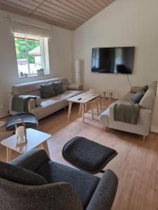 a living room with couches and a flat screen tv at Fredfyldt skovbolig med udespa in Rødding