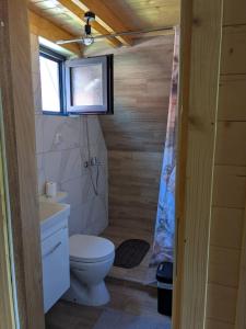 a small bathroom with a toilet and a window at Prenoćište Lelić in Valjevo +78 photos
