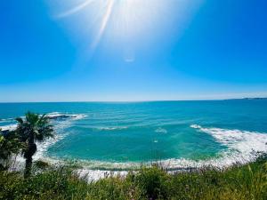 a beach with a palm tree and the ocean at Rental Higueron Boutique Resort in Fuengirola