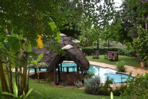 une statue d'éléphant près d'une piscine dans l'établissement Tambuti lodge, à Rundu