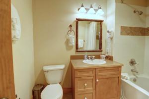 a bathroom with a toilet and a sink and a mirror at CS425 Copper Springs in Copper Mountain +31 photos