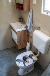 a bathroom with a toilet with fish on the seat at Lakeside Cabin in Jablanica +18 photos