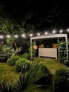 a gazebo with lights in a garden at night at Guest House Germani in Telavi