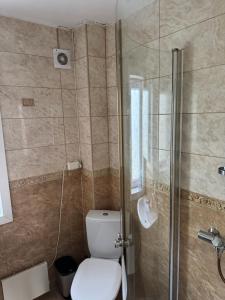 a bathroom with a toilet and a glass shower at Arctic View Apartament Vardø in Vardø +4 photos