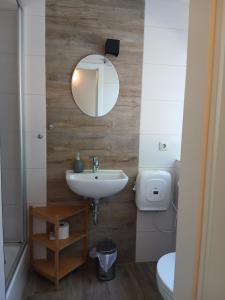 a bathroom with a sink and a mirror and a toilet at Pension Küfner in Markkleeberg +26 photos