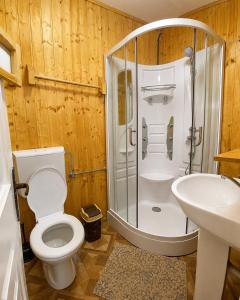 a bathroom with a shower and a toilet and a sink at Cabana Elena in Gârda de Sus +22 photos