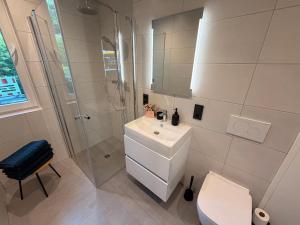 a bathroom with a shower and a toilet and a sink at Idar Apartment 2 in Idar-Oberstein