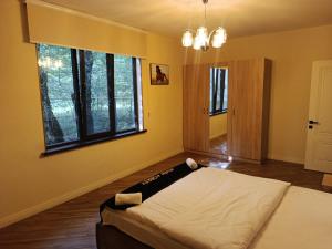ein Schlafzimmer mit einem Bett und einem Fenster in der Unterkunft Rıver Forest Hotel in İsmayıllı