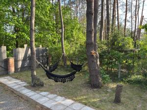 a hammock hanging between two trees in a garden at Rodzinne Zacisze in Radawa +1 photo