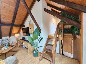 a living room with wooden ceilings and a ladder at Acolin in Briançon