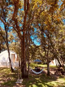 a hammock hanging between two trees in a field at GlampingWoodzen in Villa del Carbón