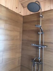 a shower in a bathroom with a wooden wall at Alojamiento y Desayuno Privado de Lujo C1 in Bucalemu