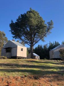 a barn and a tree in a field at Alojamiento y Desayuno Privado de Lujo C1 in Bucalemu