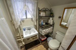 a bathroom with a sink and a toilet and a mirror at Cottage On The Stream Sundance, Utah in Sundance +55 photos