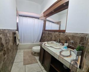 a bathroom with a sink and a toilet and a mirror at Apartamento SC in Estación Pamplona
