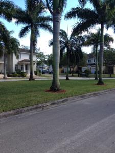 una calle con palmeras frente a una casa en Speedway Blvd Townhouse, en Homestead