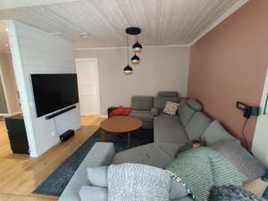 a living room with a couch and a television at Ulriksdal in Ulriksdal