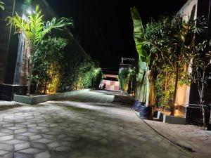 a street lined with plants and lights at night at Tripo bay inn in Mahabalipuram