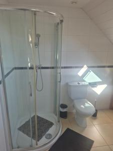a bathroom with a shower and a toilet at Studio Cosy à la campagne, à 30 min des plages in Missillac +5 photos